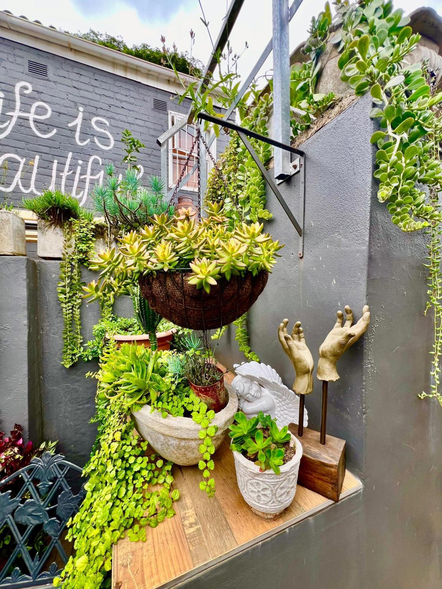 Terebinte Bed & Breakfast ダーバン エクステリア 写真